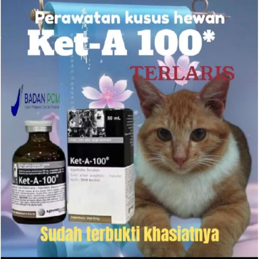 Ket-A-100 Obat Injection & Anestesi Hewan OBAT LUKA HEWAN PELIHARAAN  DAN MENJAGA KESEHATAN HEWAN DA