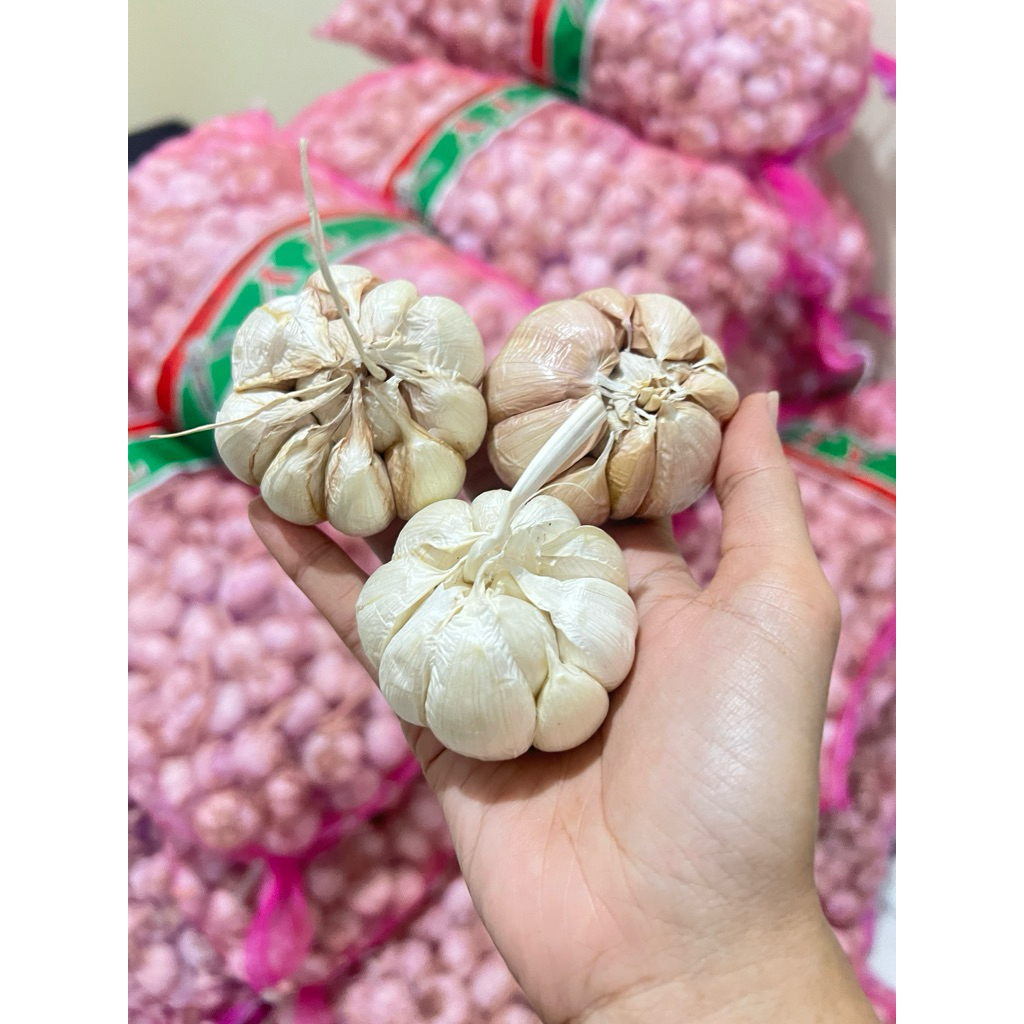 

Bawang putih Honan bersih kuliatas terbaik