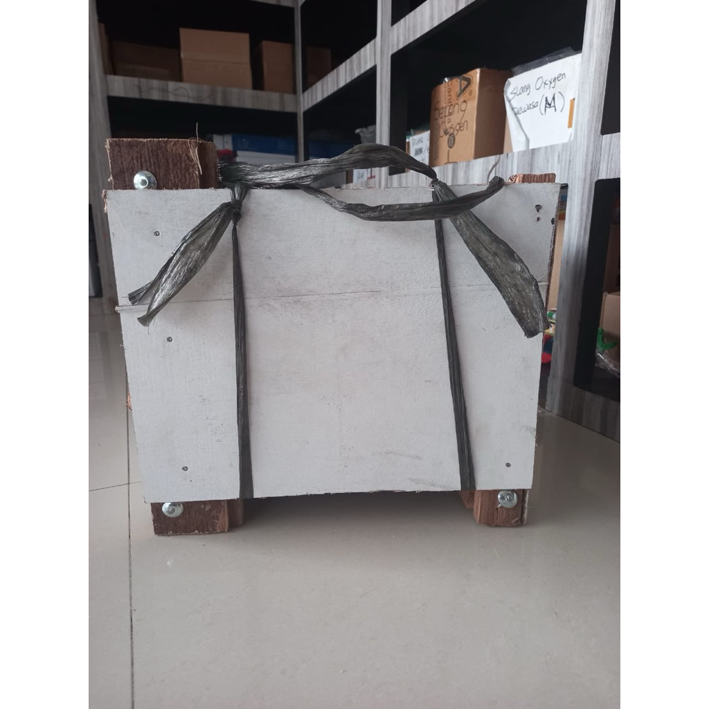 

jambu langsung dari pohonnya dipetik dalam keadaan segar dan matang