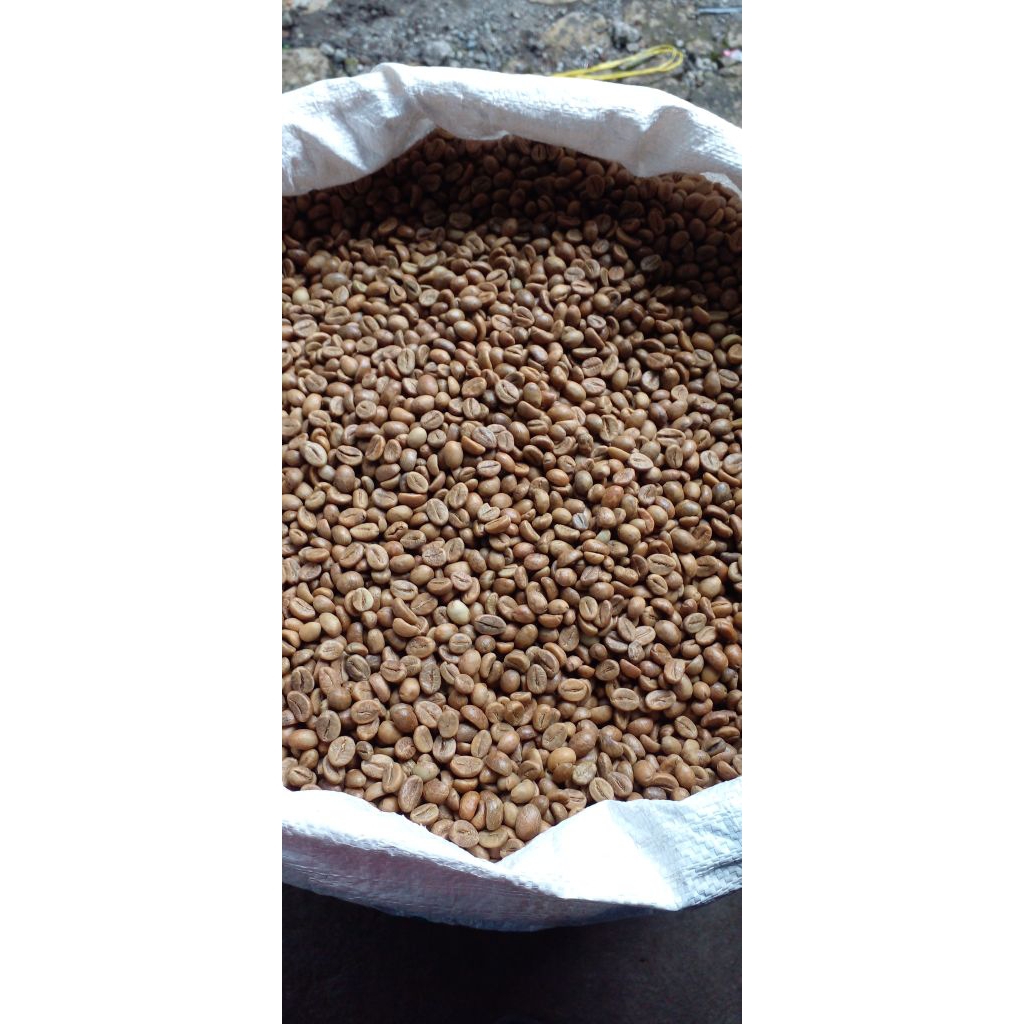 

Green Bean Robusta natural Temanggung