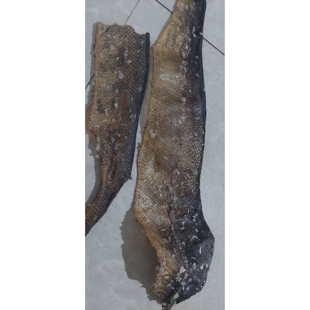 

kulit salmon kering