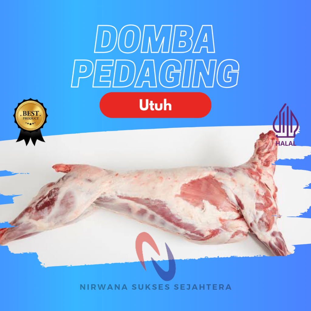 

DOMBA MUDA UTUH, KARKAS KAMBING POCONG / WHOLE LAMB