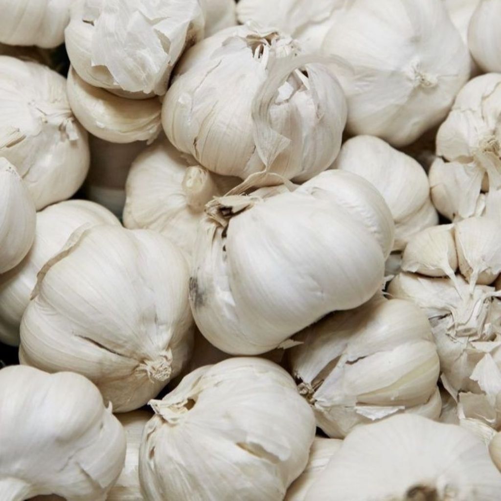 

Bawang putih segar -bawang putih kulit