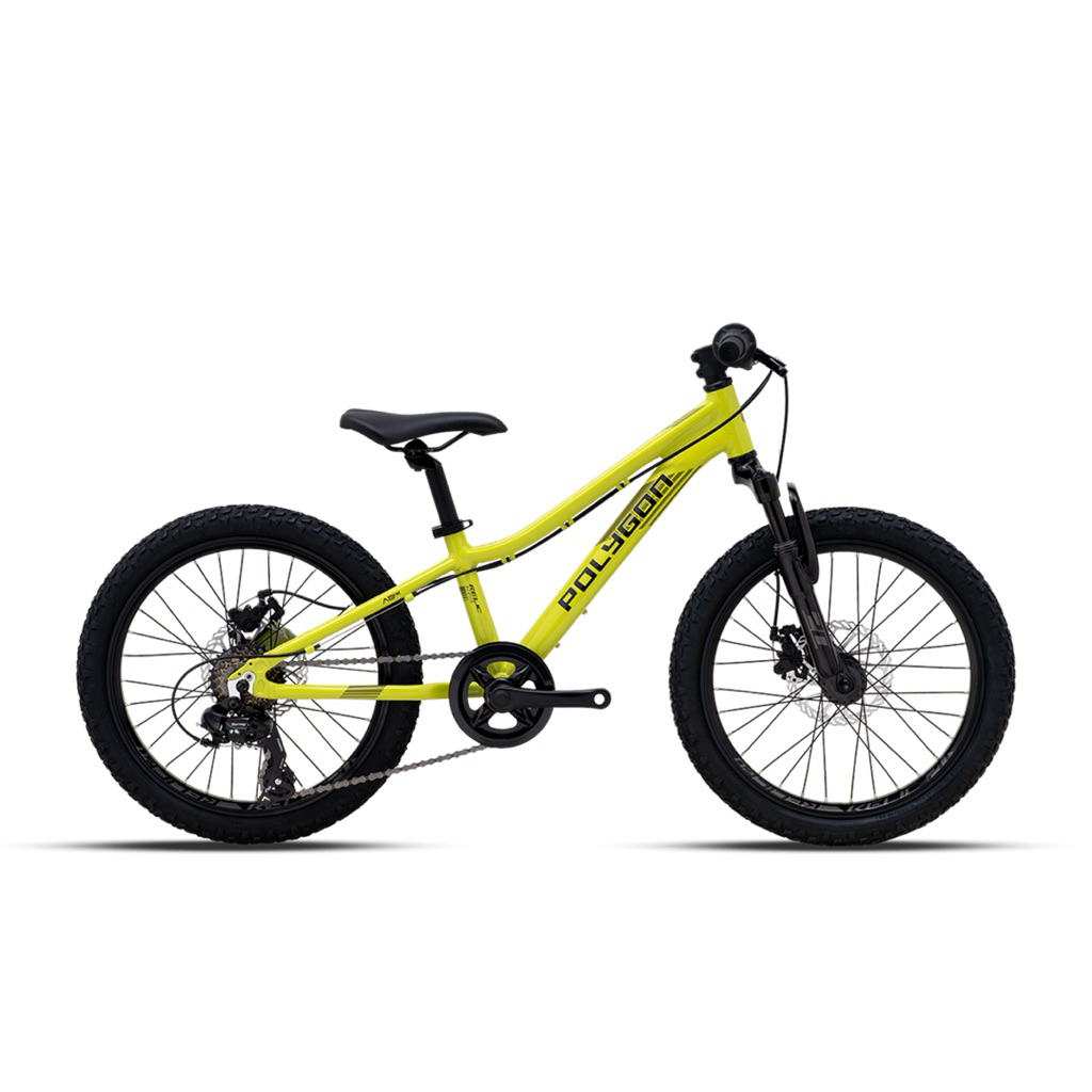 Sepeda Gunung MTB Anak 20 Inch Polygon Relic