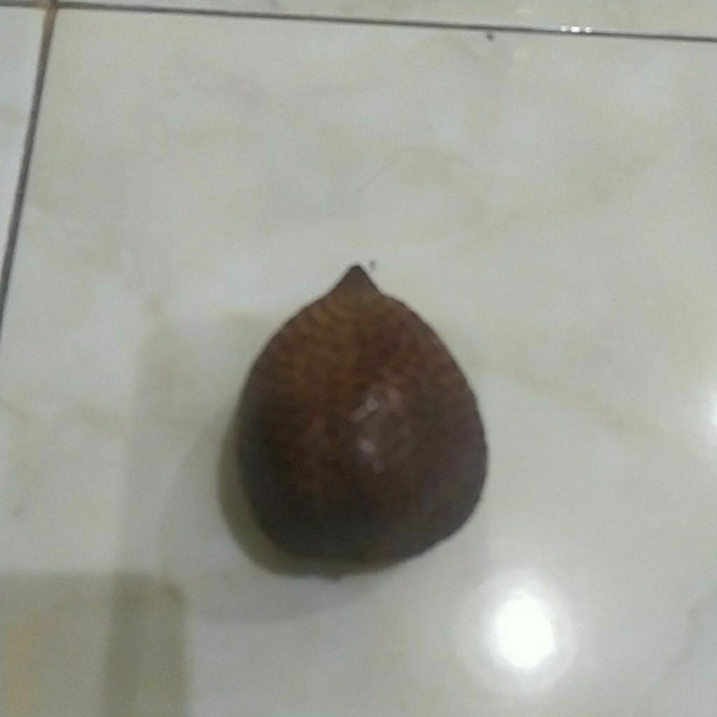 

Salak