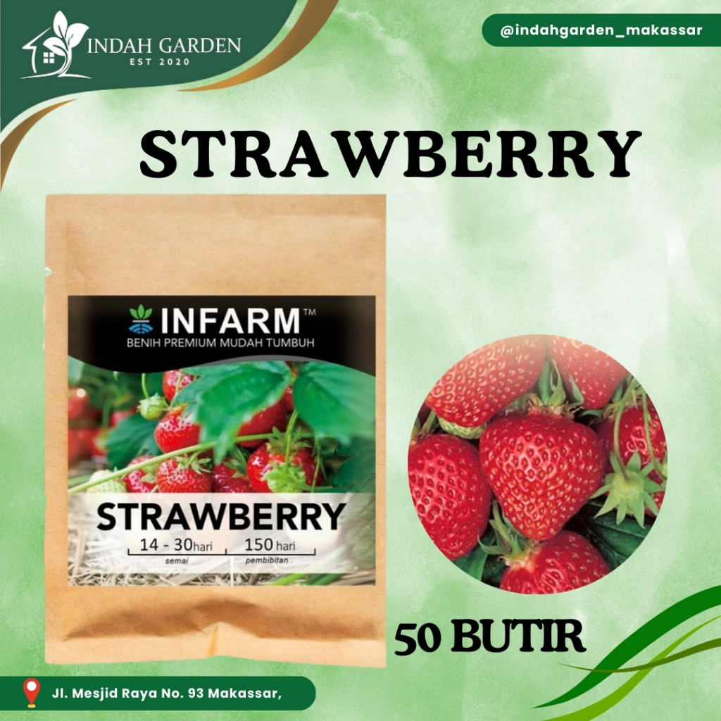 INFARM - Benih Bibit Biji Super Buah Strawberry Stroberi (Red Giant Fragaria Ananassa)