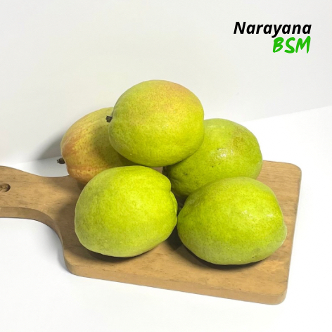 

Buah Pear Xiang Lie Fragrant Segar 500 Gram