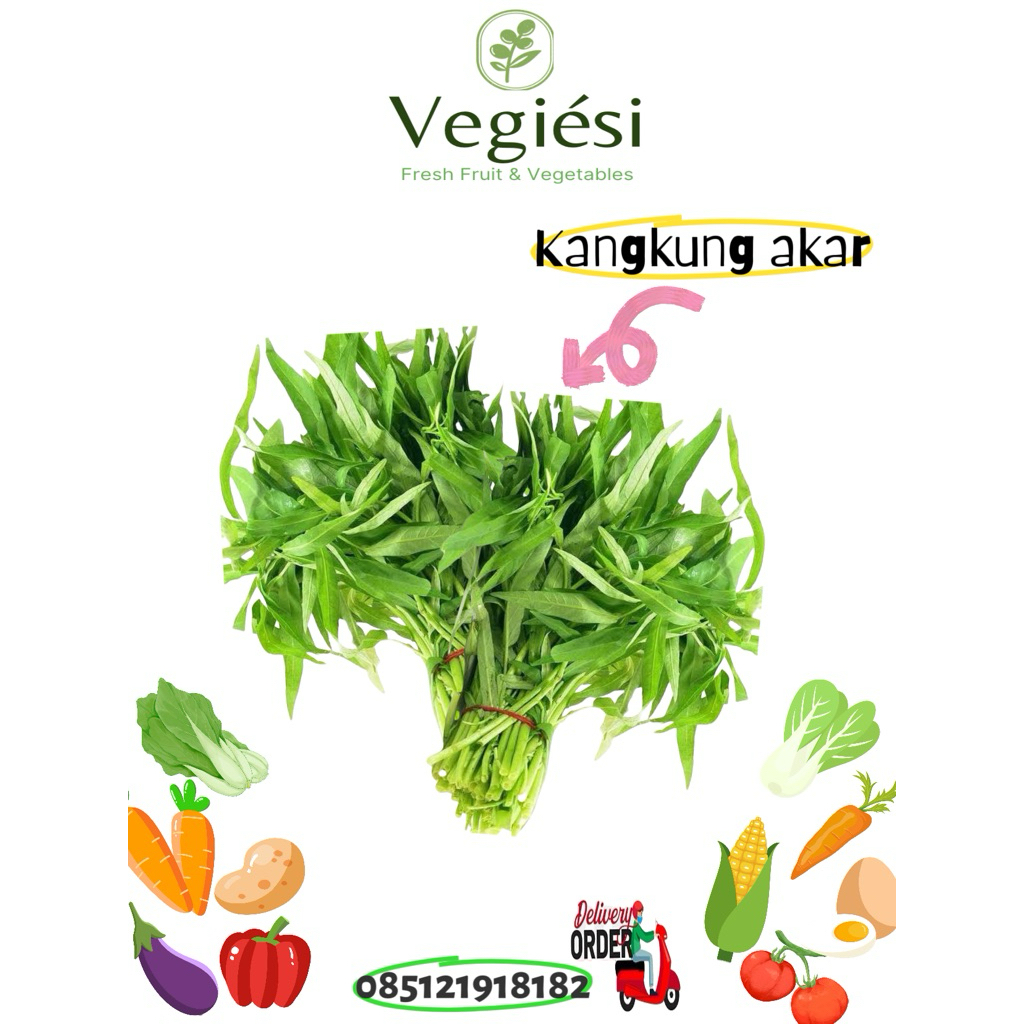 

Kangkung Akar