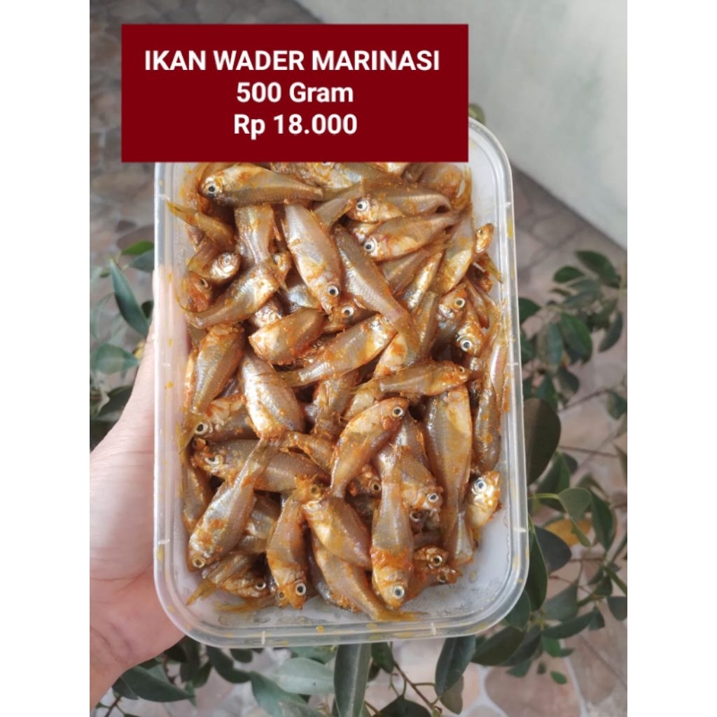 

wader