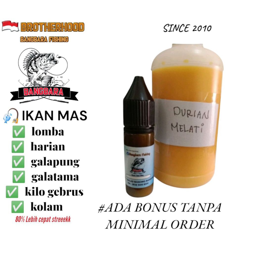 esen ikan mas durian melati/DMS