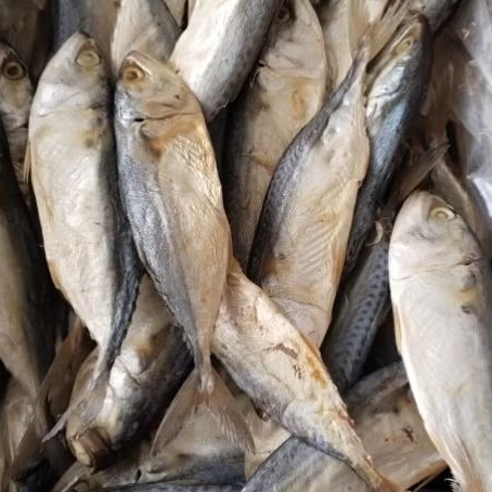 

ikan asin peda putih super