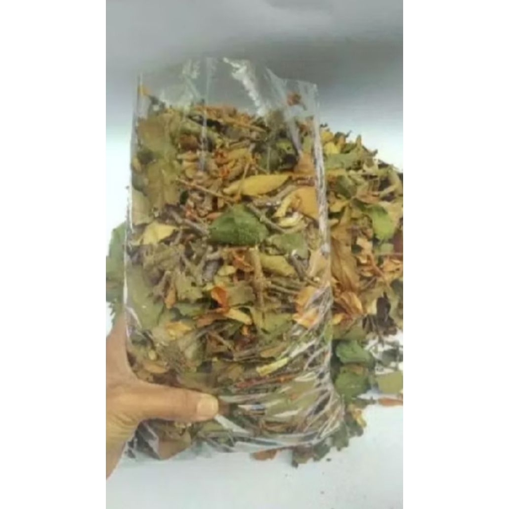 

Jual Daun Benalu Kopi Kering 1Kg