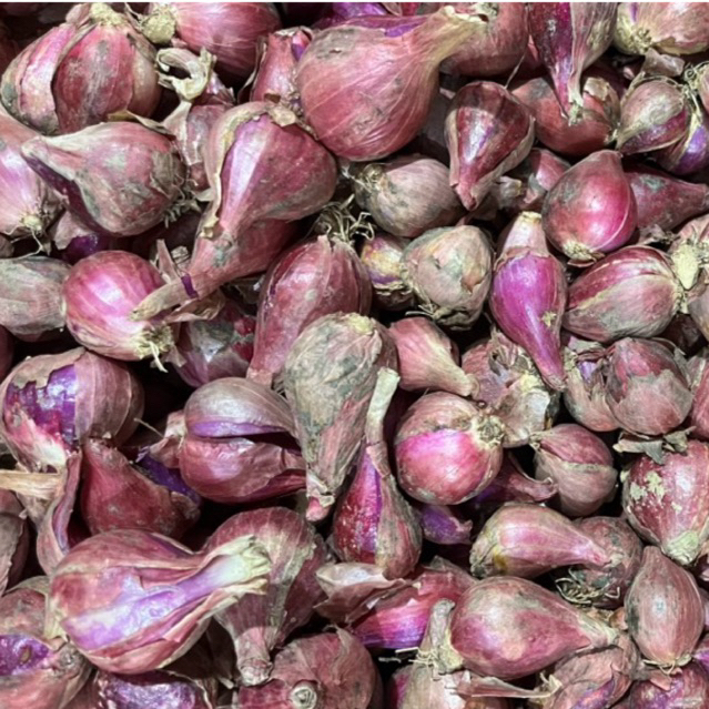 

Bawang Merah 500gr, 750gr, 1 kg | Promo Bumbu Dapur | Fresh Buah Amanah