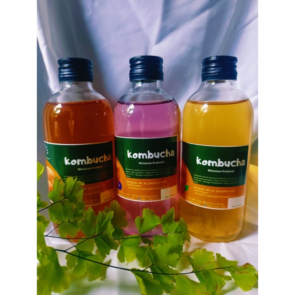 

paket bundling kombucha