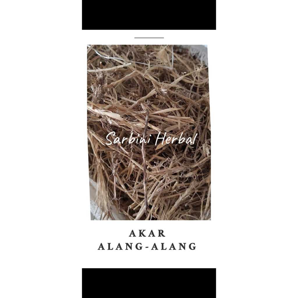 

Akar Alang-Alang Kering / Kering Akar Alang-Alang 500 gram / 100 gram / Simplisia Kering Akar Alang-Alang Garansi Terjamin 100% Asli Murni / Bahan Akar Alang-Alang Kering / Bahan Akar Alang-Alang Premium / Jamu Herbal Akar Alang-Alang Tradisional Tanpa Ba