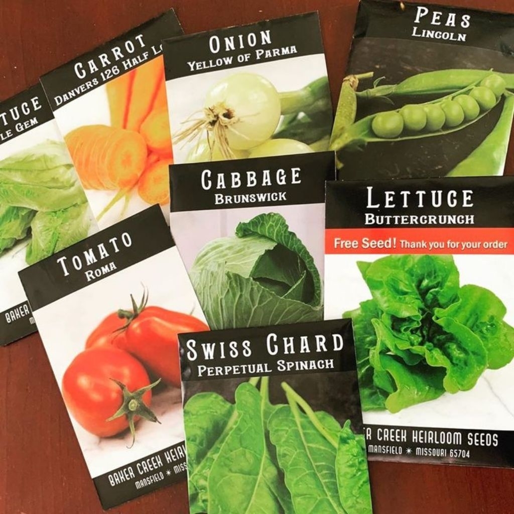 

BENIH SAYURAN BERKUALITAS UNGGUL JOS