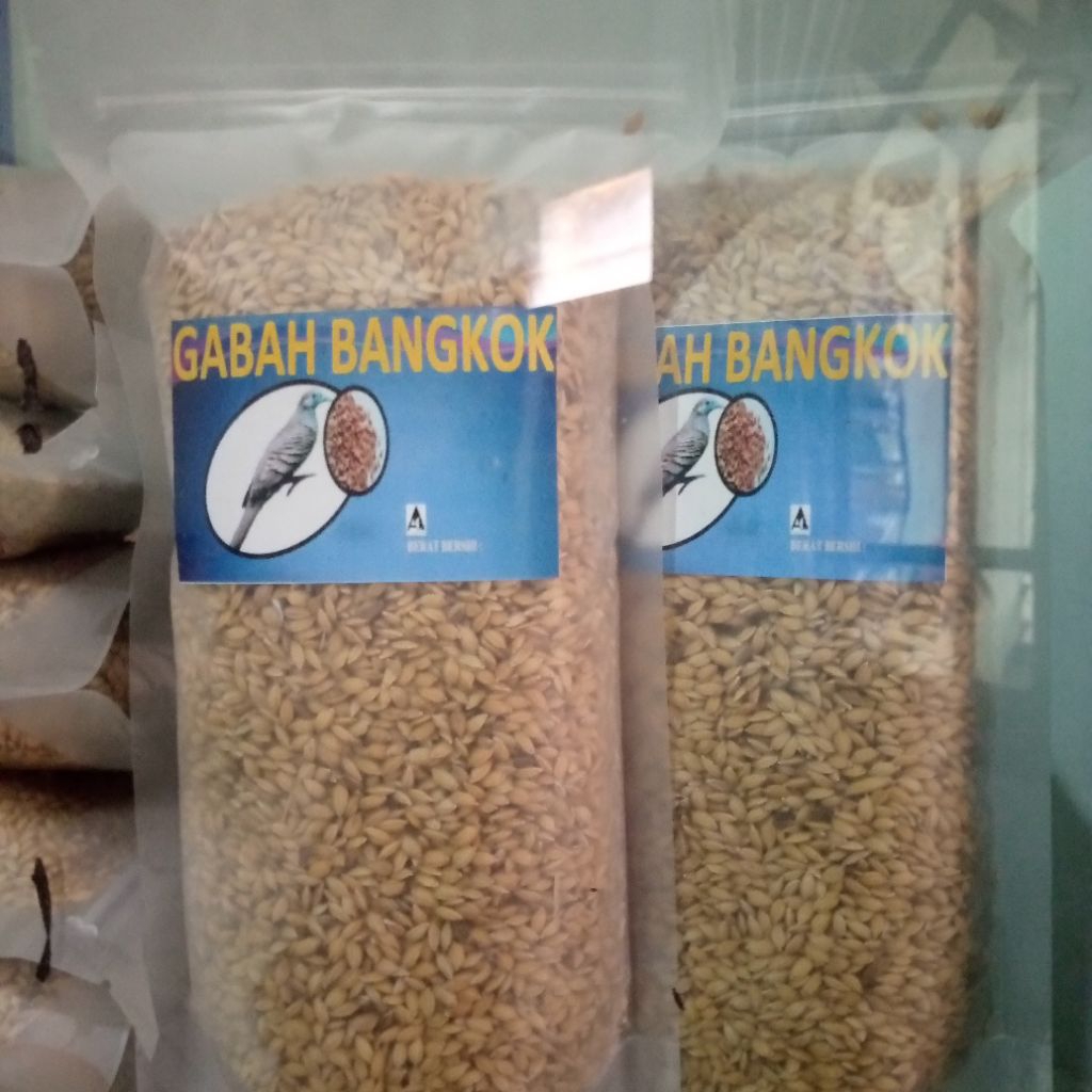 Xcamellyaa Gabah Bangkok Putih