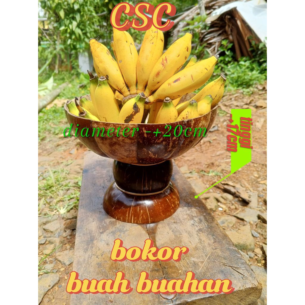 

Boko unik,bokor wadah buah buahan,bokor tempurung kelapa