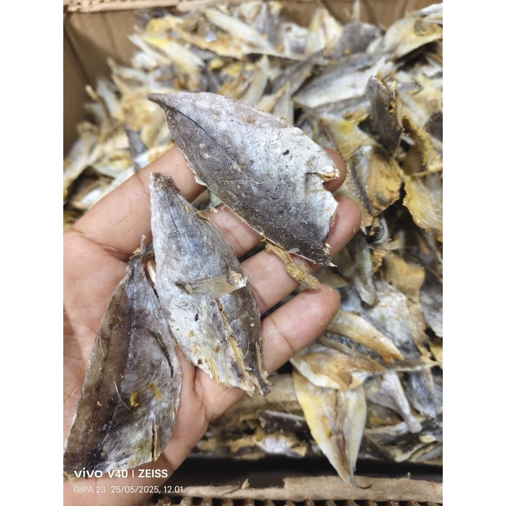 

ikan kopek khas sibolga / ikan tapis kopek sibolga