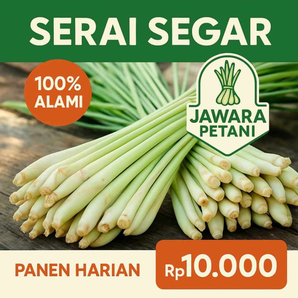 

serai sereh segar 500 gram 100% asli hasil panen petani