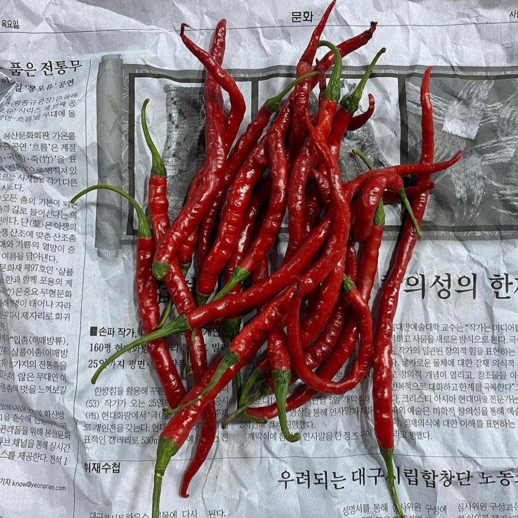 

cabai kriting fresh 1000gram