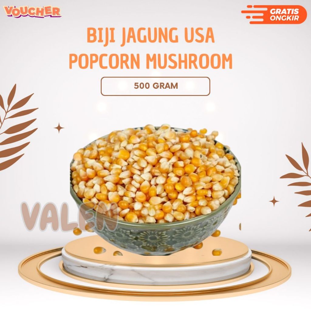 

Biji Jagung USA 500gr / Mennel Popcorn BigBall Mushroom / Biji Popcorn
