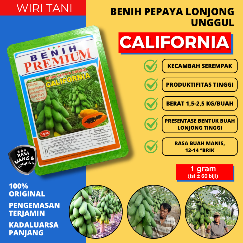 (isi ± 60 biji ) Benih Biji Pepaya California/IPB-9 kemasan 1 Gram | Bibit Kates Kalifornia Benih Pr