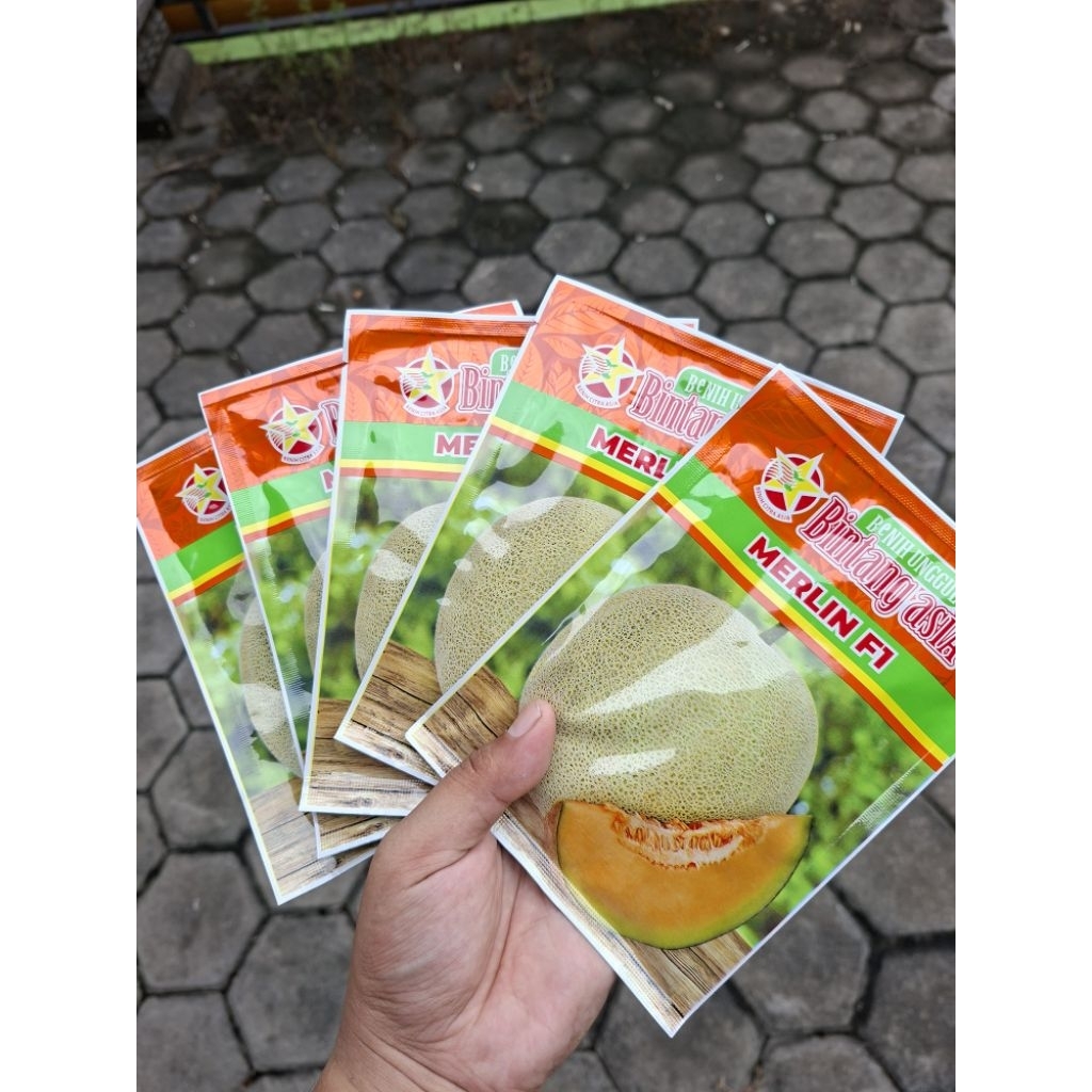 

Melon Oren MERLIN F1 Original 20gr