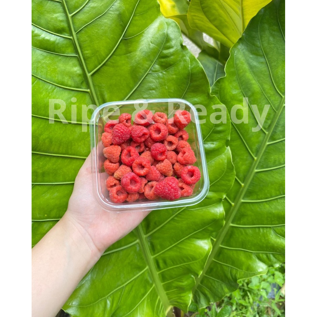 

Raspberry Lokal Fresh 125gr