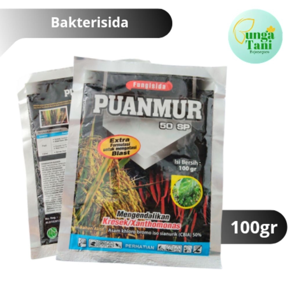 Fungisida Puanmur 50 SP untuk mengendalikan Kresek/Xanthomonas/ bakterisida padi/ untuk mengatasi Bl