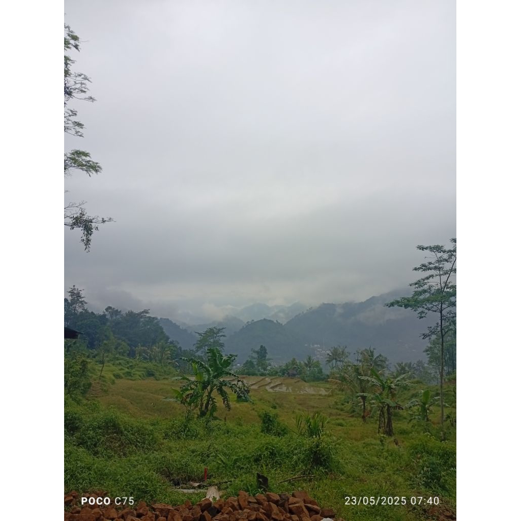 

udara pegunungan pemalang jawa tengah