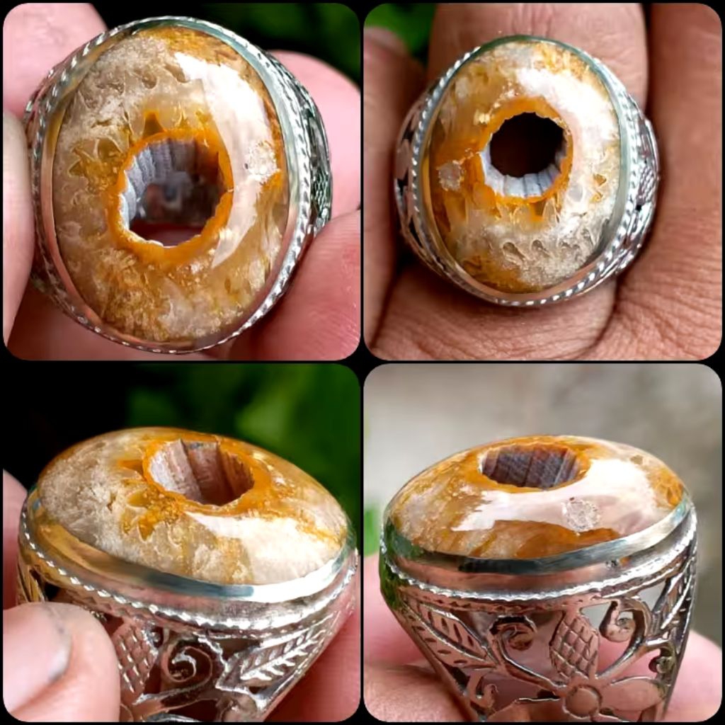 Natural Teratai Combong Sakral ( Combongnya Asli Alam) - NTD