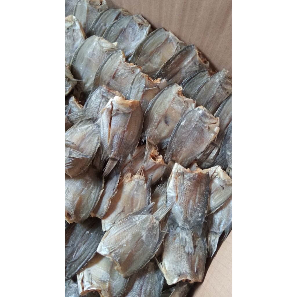 

Ikan biawan kering ( 500g ) + segar + hambar + cocok untuk di goreng langsung buat lauk makan + makanan siap saji