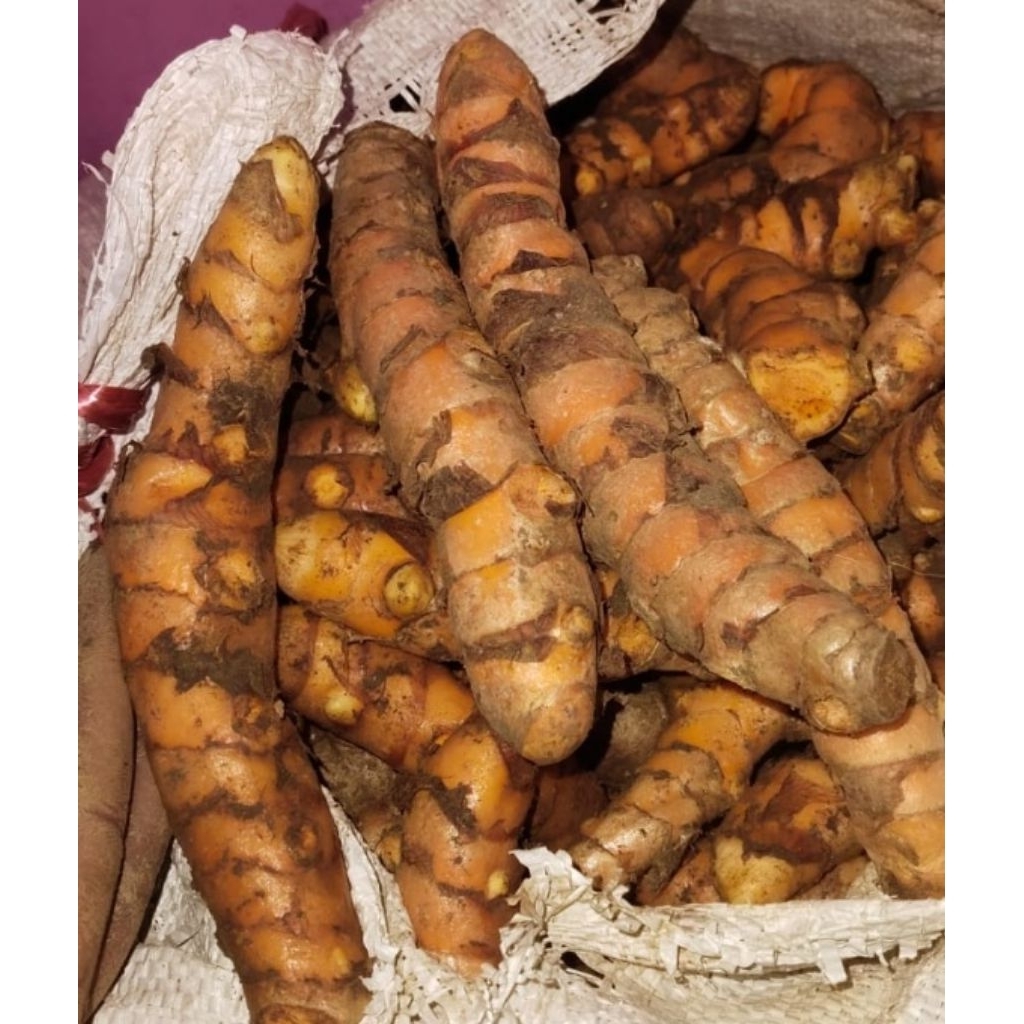 

kunyit segar 2kg super dan bersih