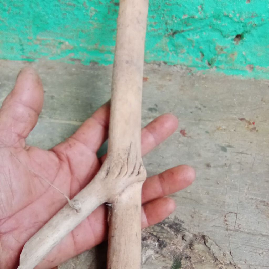 bahan once jumbo kayu tlogosari 2pcs