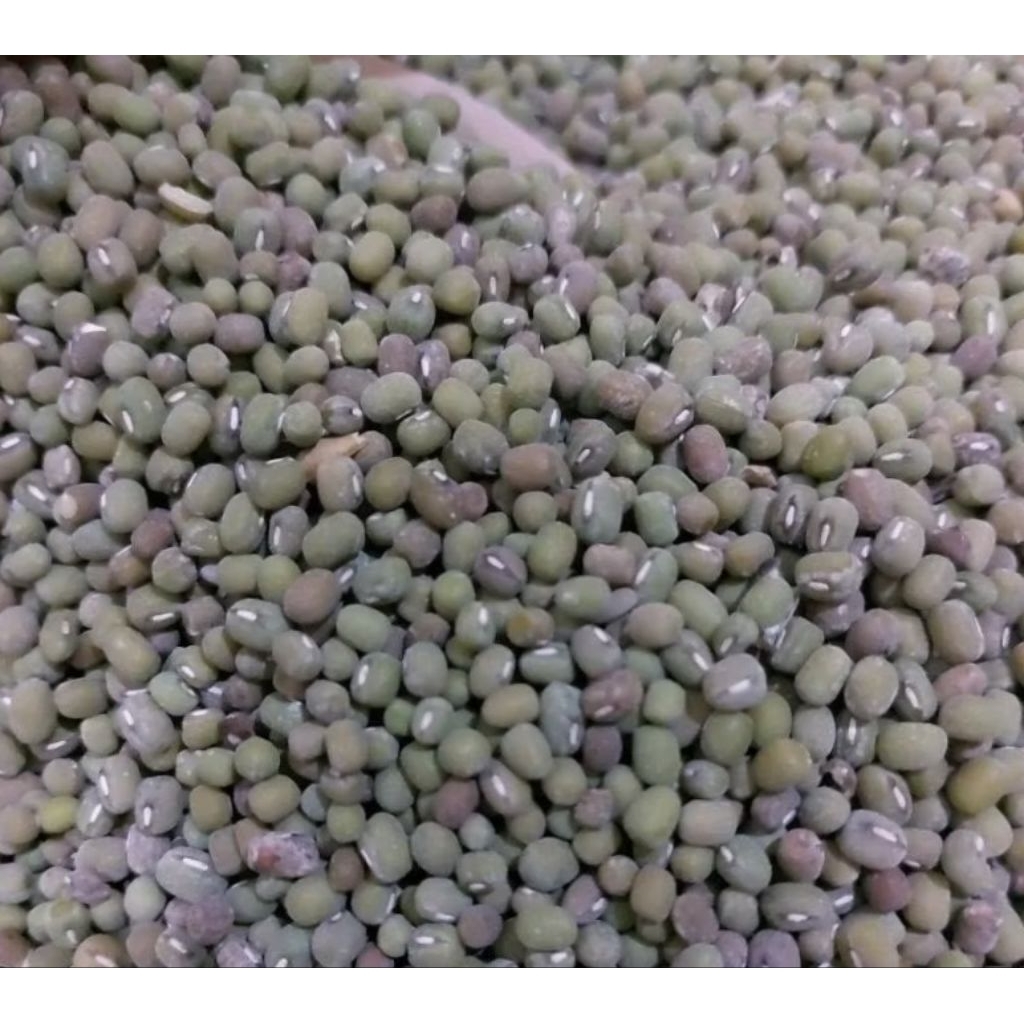 

kacang hijau / kacang ijo 100gr