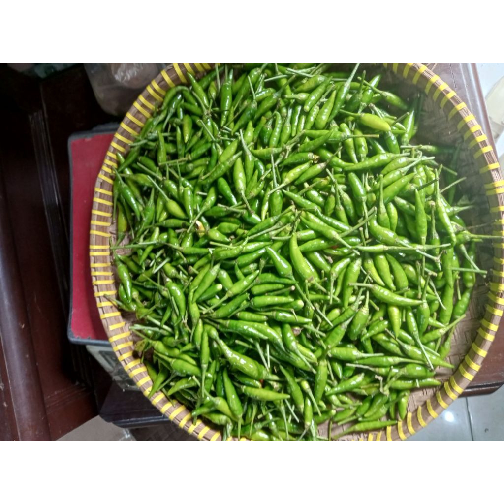 

Cabai Hijau Cengek Caplak 1kg Pedas Segar Cocok untuk Semua Masakan