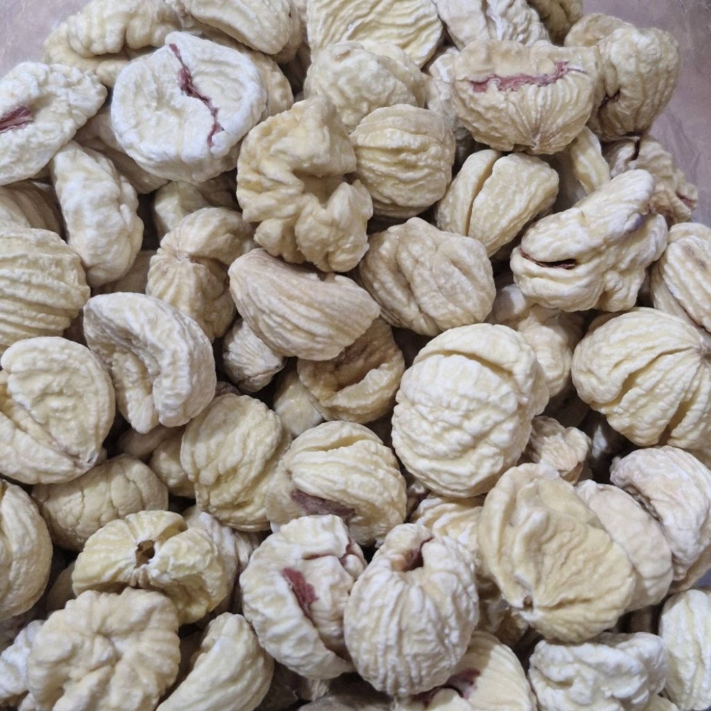 

Lakci 100 gr /LAK CI / Kacang Rerangan / Sarangan /Chestnuts Kering / Lakji / LAK JI / LakChi / LAK CHI / JUI / ZUI / Kacang Kering Kalimantan