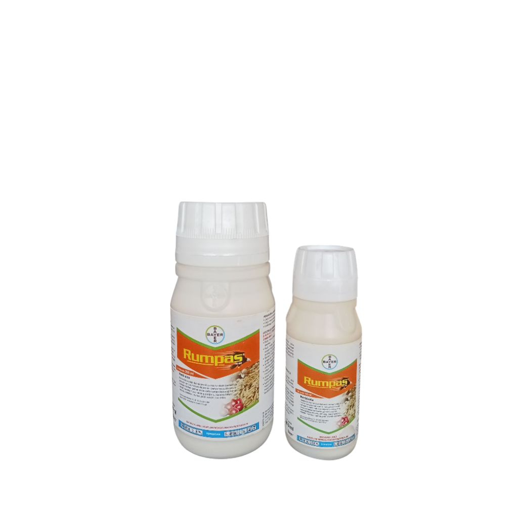 RUMPAS