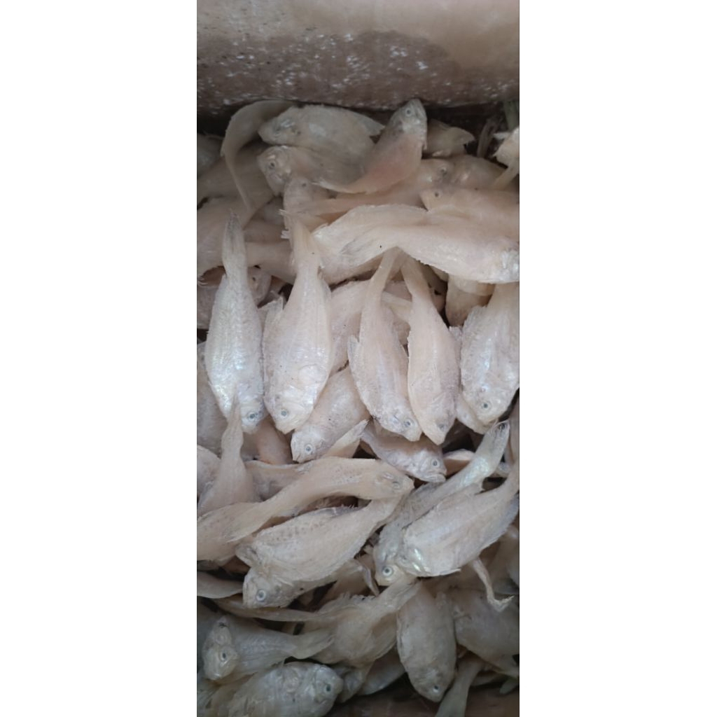 

ikan asin putri ayu
