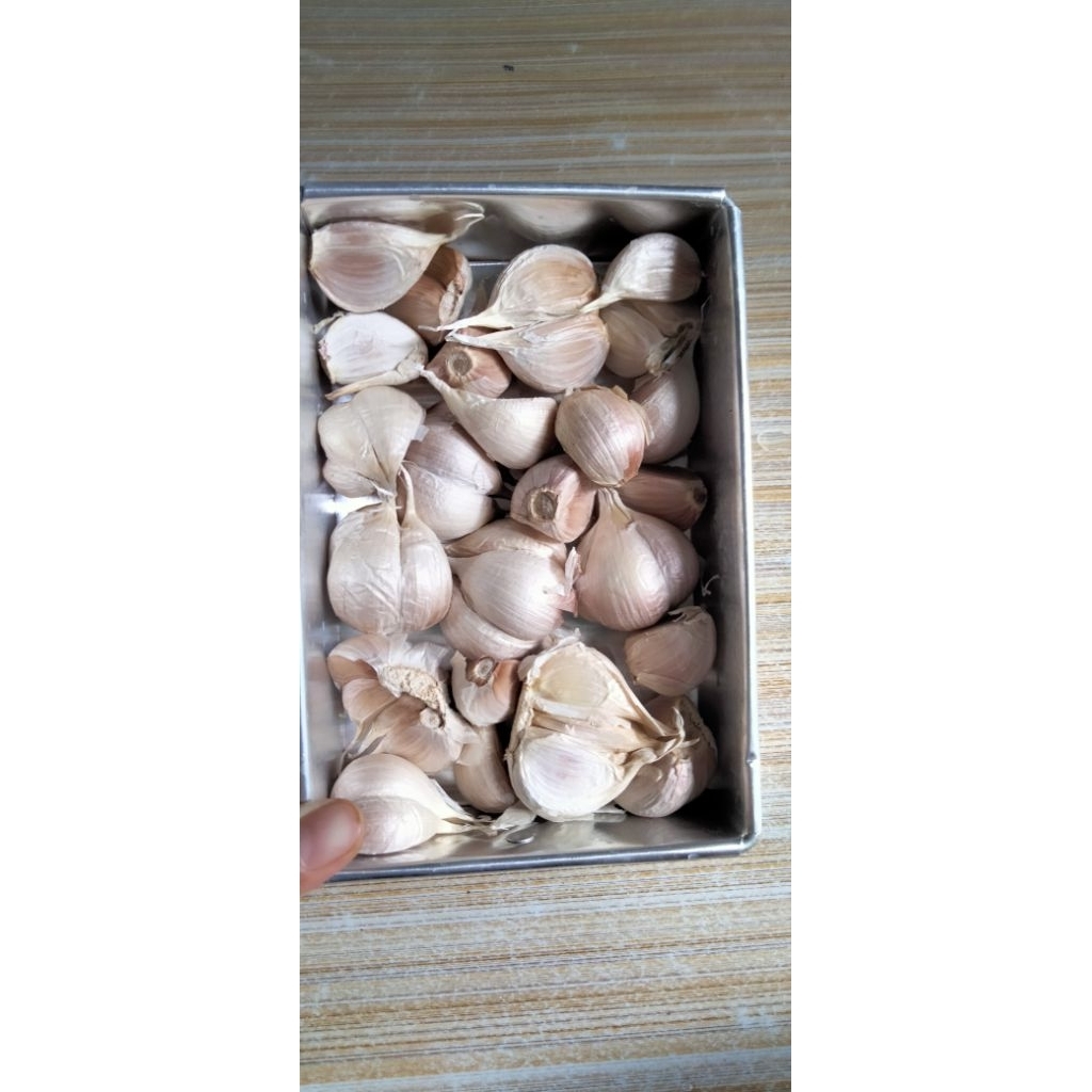 

bawang putih kating bagus berkualitas, 500 gram