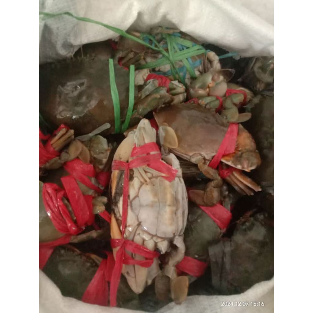 

Kepiting