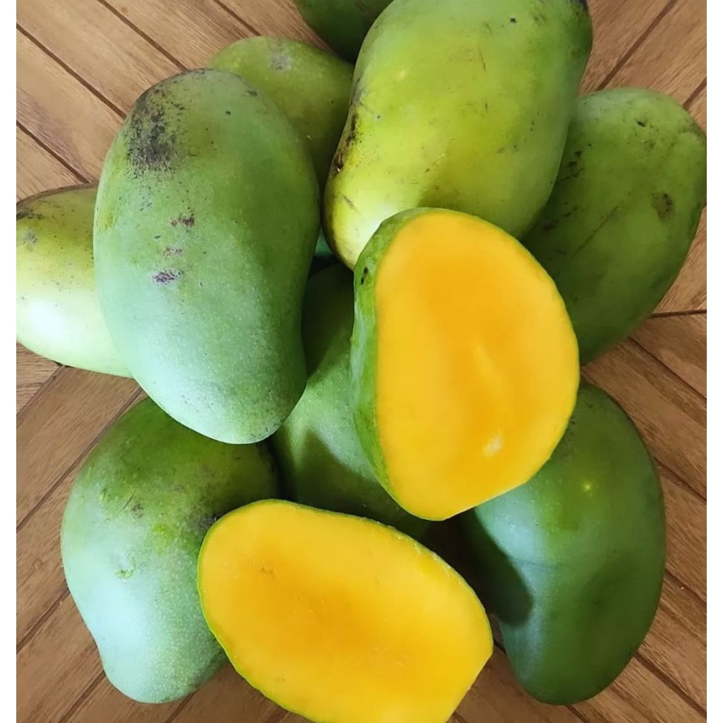 1KG MANGGA GADUNG MANIS DAGING TEBAL JUAL MANGGA MASAK POHON MALANG MURAH GRATIS ONGKIR