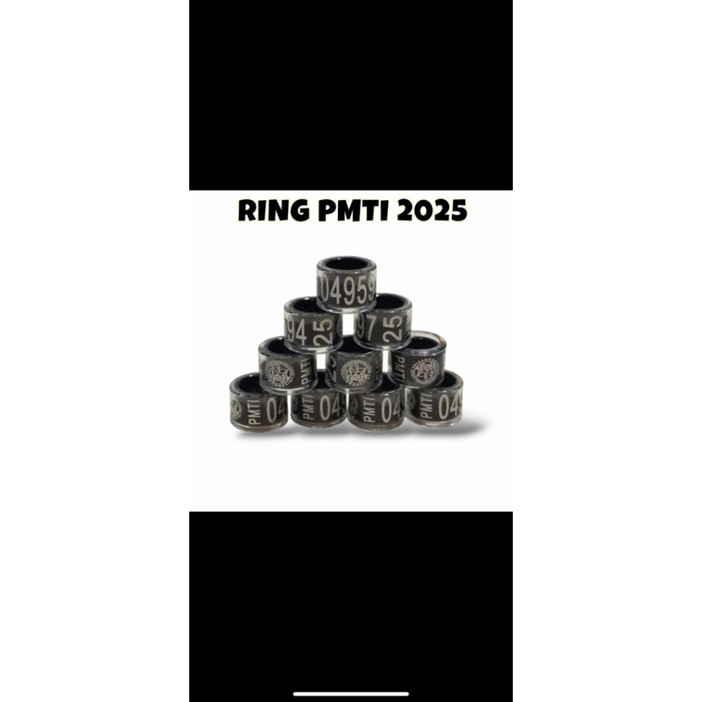 RING PUSAT PMTI KOLONG MEJA 2025