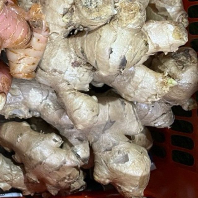 

Jahe | Promo Bumbu Dapur Murah | Fresh Buah Amanah