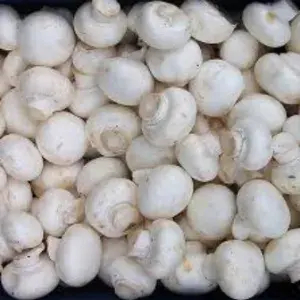 

JAMUR KANCING / CHAMPIGNON 100g