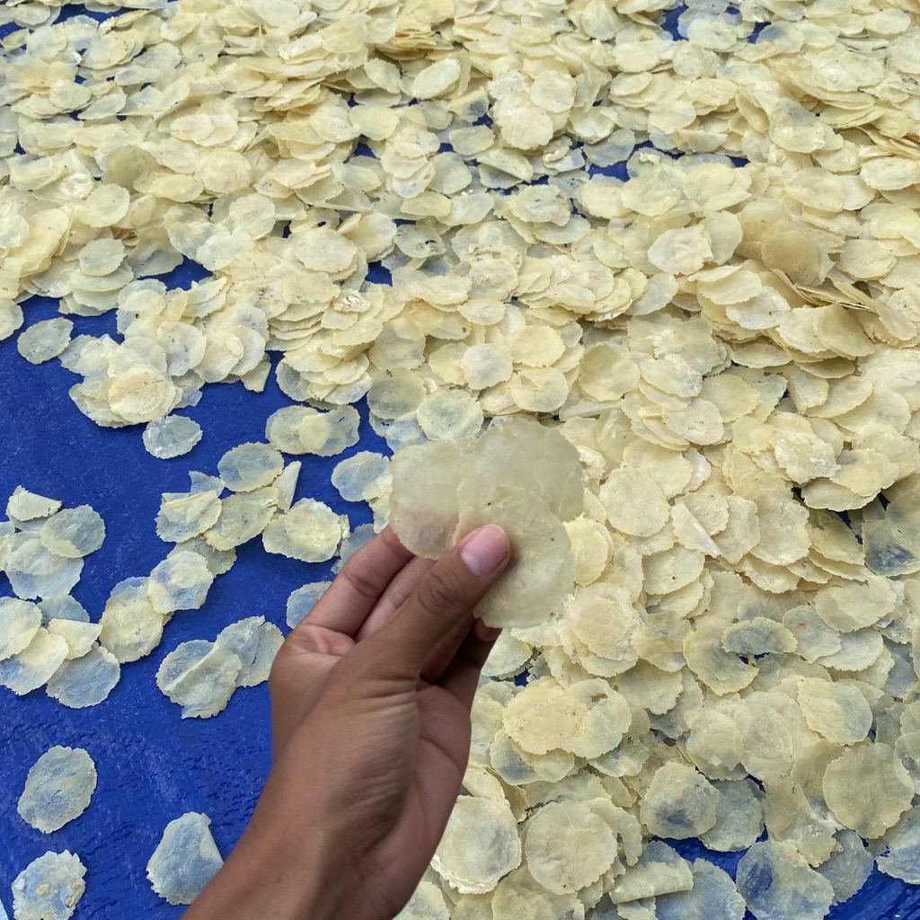 

Emping Melinjo Premium 1kg ukuran (Sp) – Gurih Asli Kota Limpung