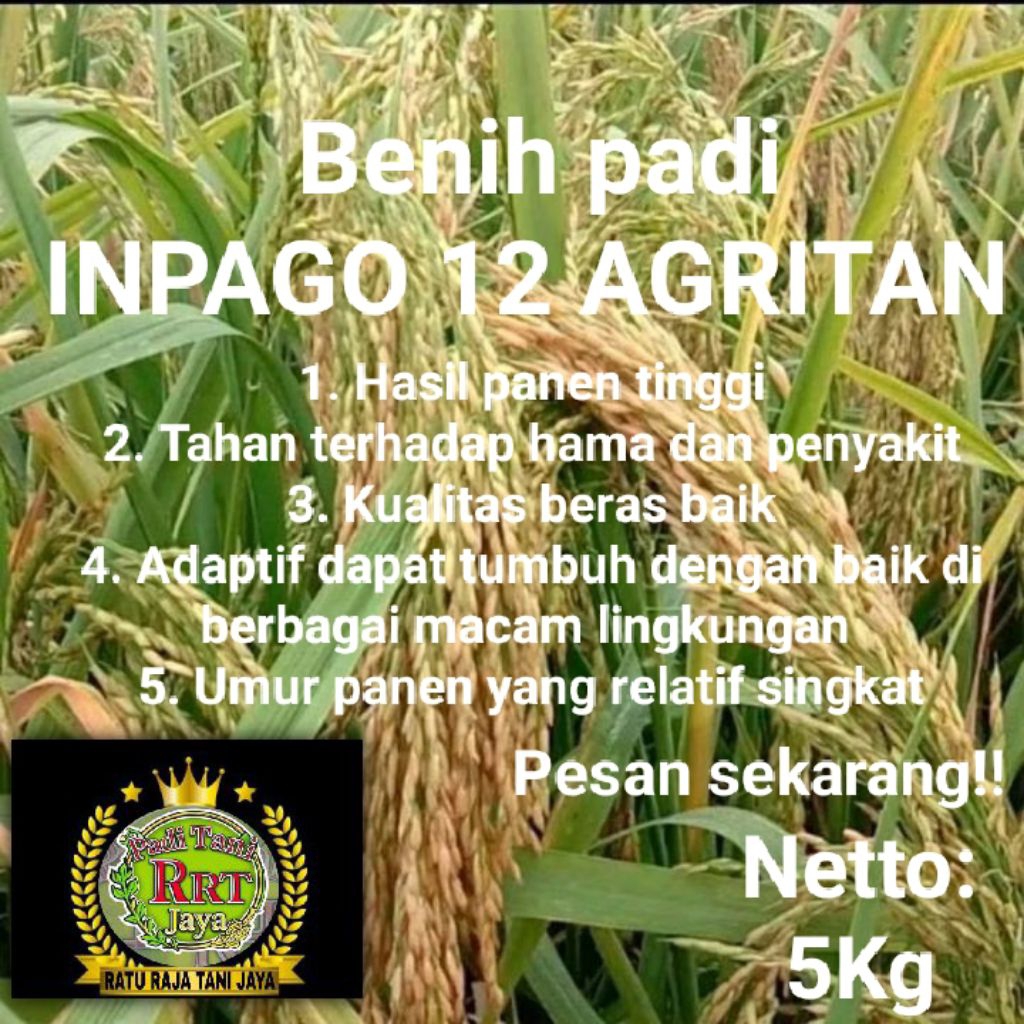 BENIH PADI INPAGO 12 AGRITAN KEMASAN 5KG