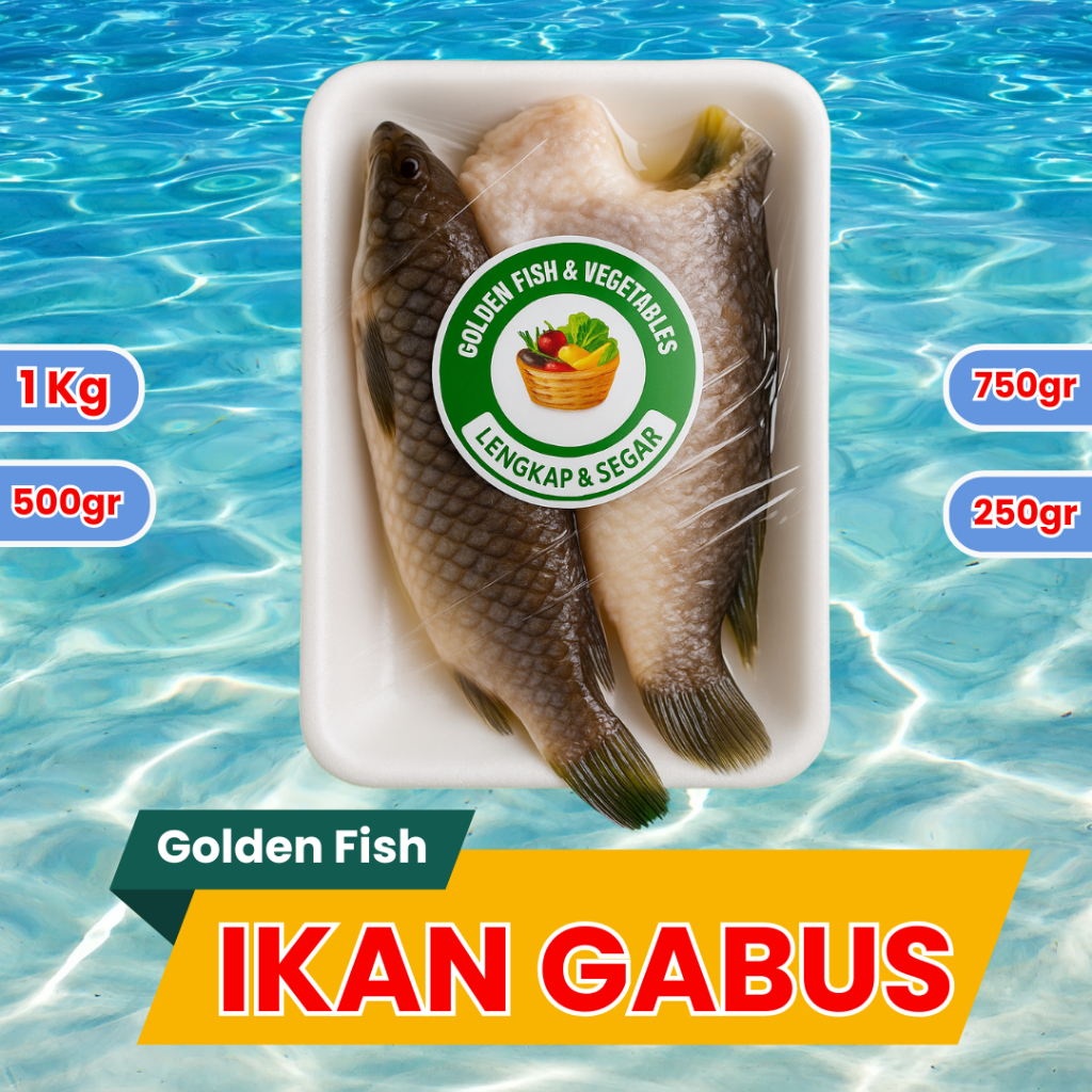 

Ikan Gabus Segar & Bergizi - Tersedia 1kg, 750gr, 500gr, 250gr – Fresh dari Laut