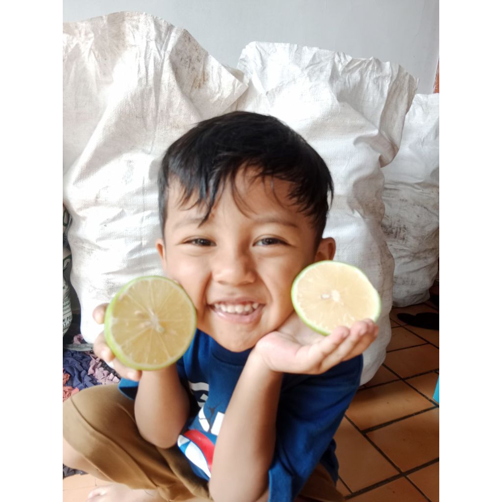 

lemon hijau